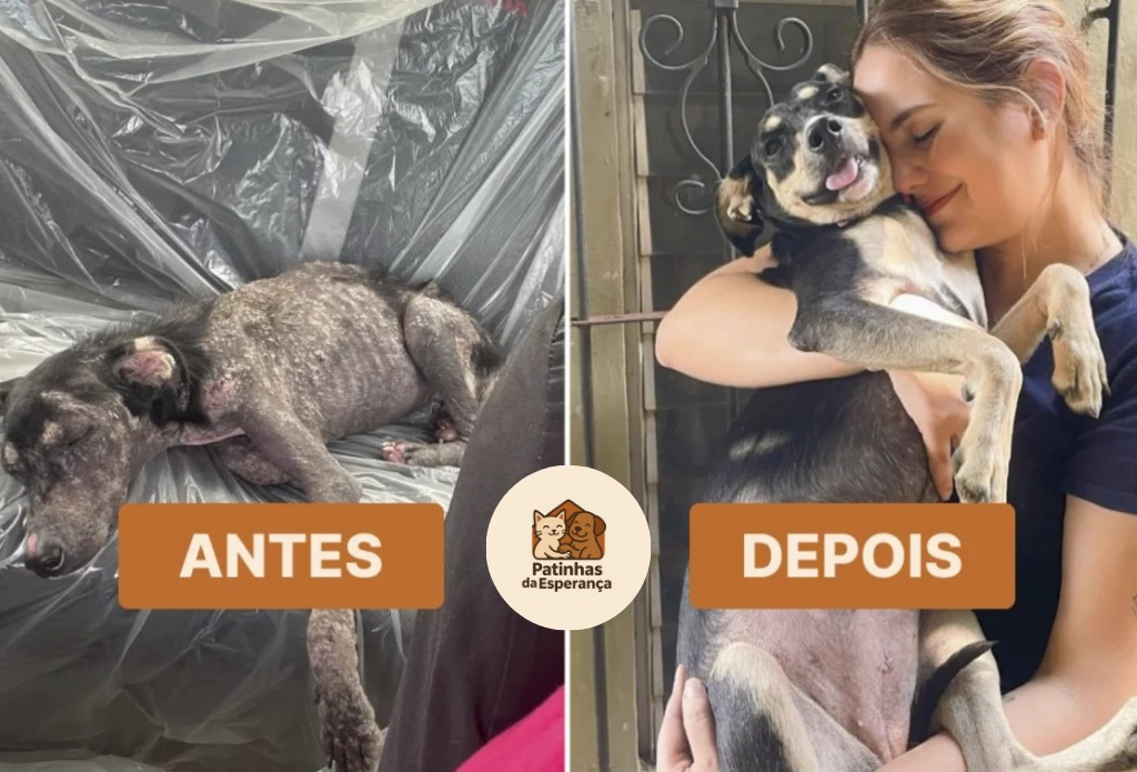 Amor que transforma